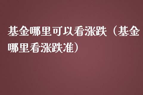 基金哪里可以看涨跌（基金哪里看涨跌准）_https://www.ltsssb.com_基金频道_第1张