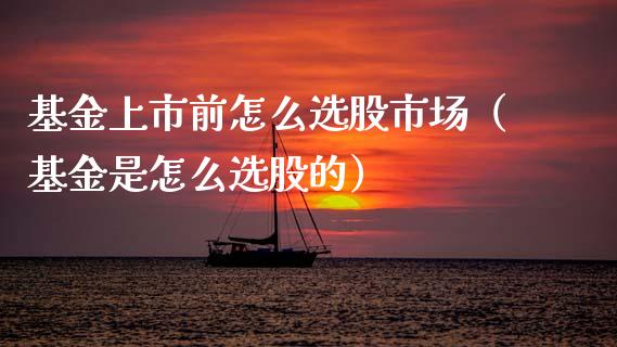 基金上市前怎么选股市场（基金是怎么选股的）_https://www.ltsssb.com_基金频道_第1张