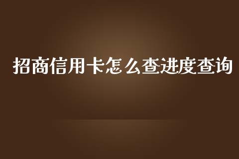 招商信用卡怎么查进度查询_https://www.ltsssb.com_期货在线_第1张