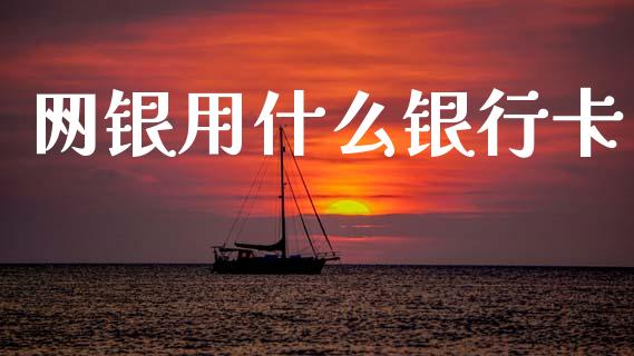 网银用什么银行卡_https://www.ltsssb.com_新股数据_第1张