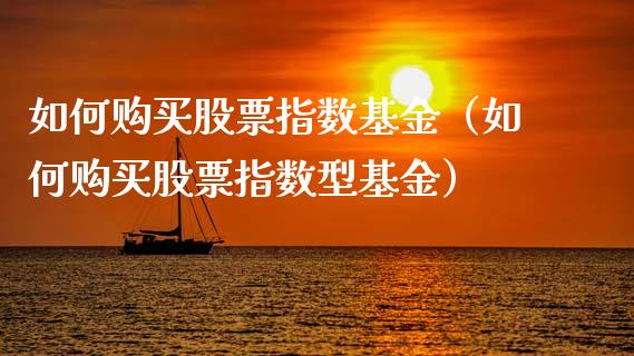 如何购买股票指数基金（如何购买股票指数型基金）_https://www.ltsssb.com_国际财经_第1张