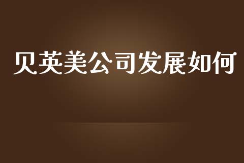 贝英美公司发展如何_https://www.ltsssb.com_国际财经_第1张