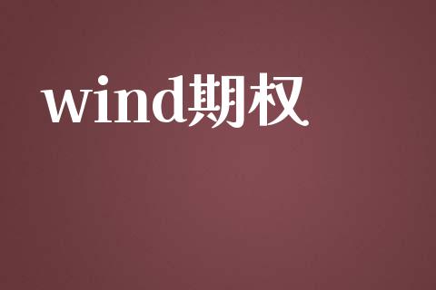 wind期权_https://www.ltsssb.com_期货密码_第1张