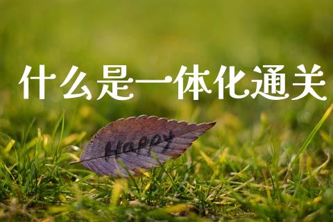 什么是一体化通关_https://www.ltsssb.com_基金频道_第1张