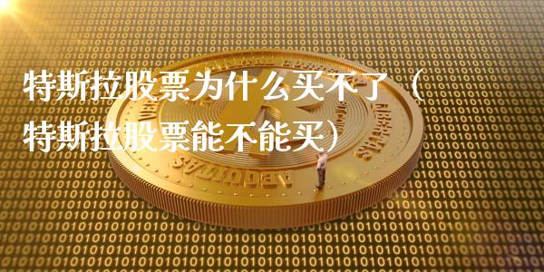 特斯拉股票为什么买不了（特斯拉股票能不能买）_https://www.ltsssb.com_股票理论_第1张