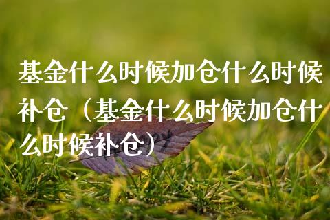 基金什么时候加仓什么时候补仓（基金什么时候加仓什么时候补仓）_https://www.ltsssb.com_国际财经_第1张