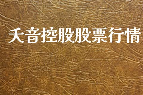 夭音控股股票行情_https://www.ltsssb.com_股市分析_第1张