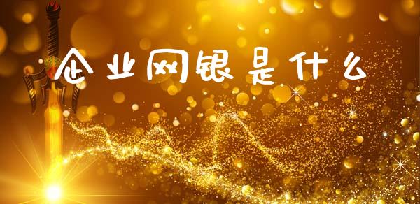 企业网银是什么_https://www.ltsssb.com_股市分析_第1张