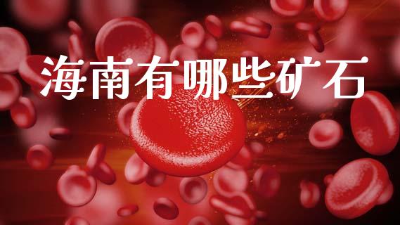 海南有哪些矿石_https://www.ltsssb.com_期货密码_第1张