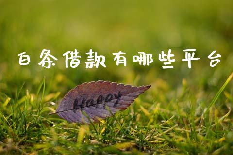 白条借款有哪些平台_https://www.ltsssb.com_期货行情_第1张