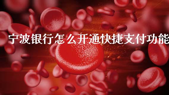 宁波银行怎么开通快捷支付功能_https://www.ltsssb.com_国际财经_第1张