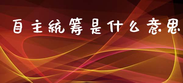 自主统筹是什么意思_https://www.ltsssb.com_期货在线_第1张