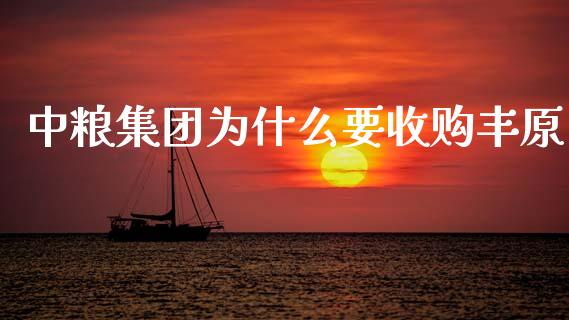 中粮集团为什么要收购丰原_https://www.ltsssb.com_期货密码_第1张