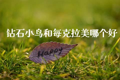 钻石小鸟和每克拉美哪个好_https://www.ltsssb.com_基金频道_第1张