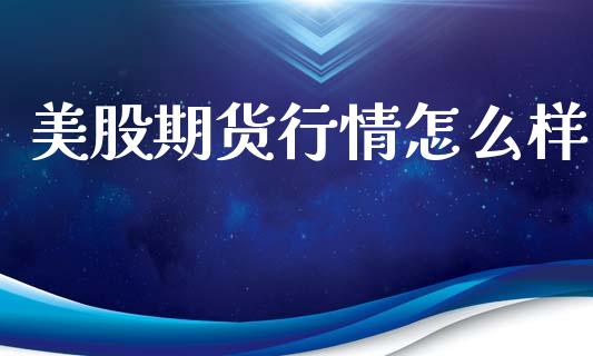 美股期货行情怎么样_https://www.ltsssb.com_期货密码_第1张