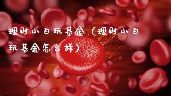 理财小白玩基金（理财小白玩基金怎么样）_https://www.ltsssb.com_基金频道_第1张