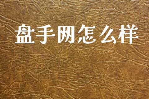 盘手网怎么样_https://www.ltsssb.com_期货密码_第1张