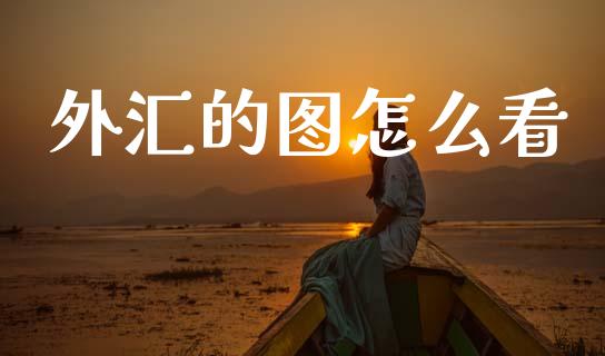外汇的图怎么看_https://www.ltsssb.com_基金频道_第1张