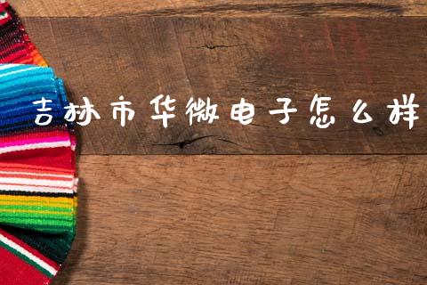 吉林市华微电子怎么样_https://www.ltsssb.com_基金频道_第1张