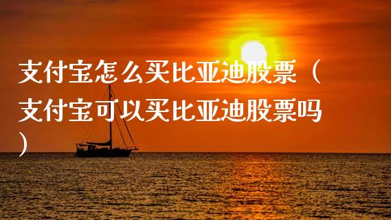 支付宝怎么买比亚迪股票（支付宝可以买比亚迪股票吗）_https://www.ltsssb.com_新股数据_第1张