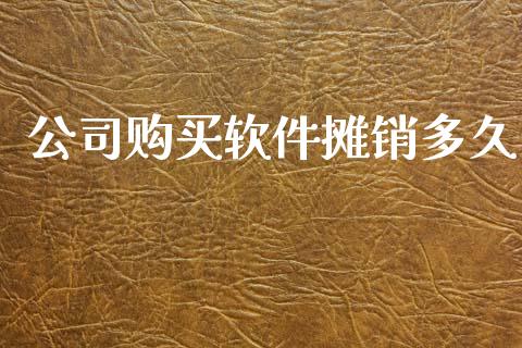 公司购买软件摊销多久_https://www.ltsssb.com_基金频道_第1张