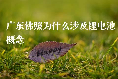 广东佛照为什么涉及锂电池概念_https://www.ltsssb.com_期货密码_第1张