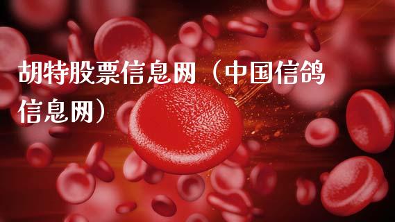 胡特股票信息网（中国信鸽信息网）_https://www.ltsssb.com_股票理论_第1张