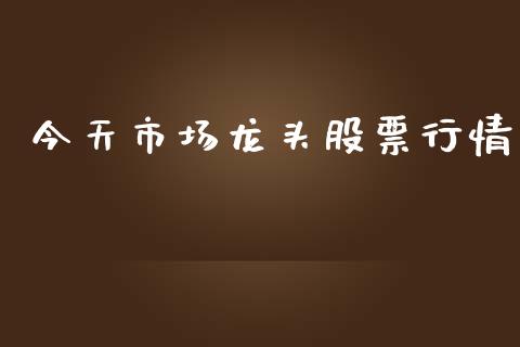 今天市场龙头股票行情_https://www.ltsssb.com_股市分析_第1张