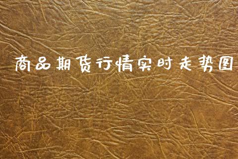商品期货行情实时走势图_https://www.ltsssb.com_期货行情_第1张