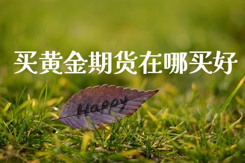 买黄金期货在哪买好_https://www.ltsssb.com_期货密码_第1张