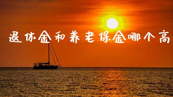 退休金和养老保金哪个高_https://www.ltsssb.com_基金频道_第1张