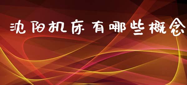沈阳机床有哪些概念_https://www.ltsssb.com_基金频道_第1张
