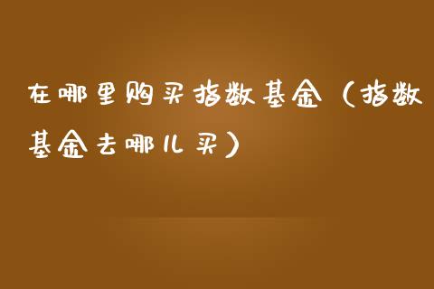 在哪里购买指数基金（指数基金去哪儿买）_https://www.ltsssb.com_基金频道_第1张