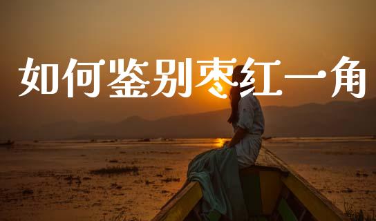 如何鉴别枣红一角_https://www.ltsssb.com_期货在线_第1张
