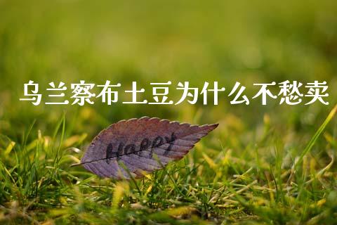 乌兰察布土豆为什么不愁卖_https://www.ltsssb.com_期货在线_第1张