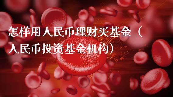 怎样用人民币理财买基金（人民币投资基金机构）_https://www.ltsssb.com_基金频道_第1张
