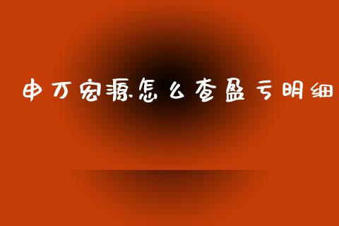 申万宏源怎么查盈亏明细_https://www.ltsssb.com_期货行情_第1张