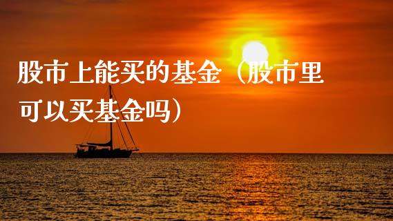 股市上能买的基金（股市里可以买基金吗）_https://www.ltsssb.com_国际财经_第1张