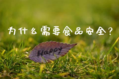 为什么需要食品安全？_https://www.ltsssb.com_期货密码_第1张