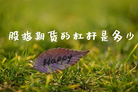 股指期货的杠杆是多少_https://www.ltsssb.com_国际财经_第1张