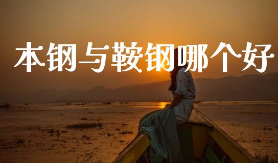 本钢与鞍钢哪个好_https://www.ltsssb.com_新股数据_第1张