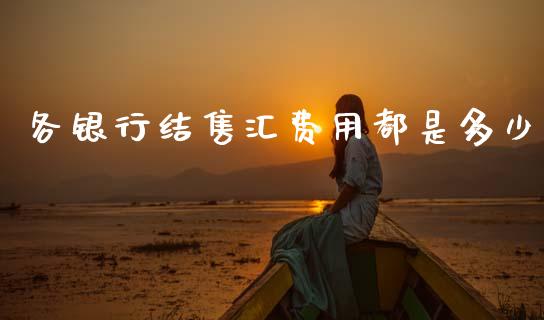 各银行结售汇费用都是多少_https://www.ltsssb.com_基金频道_第1张