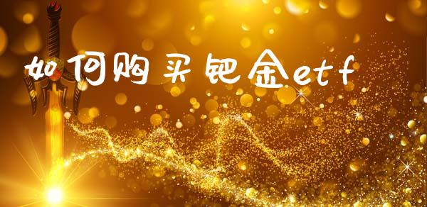 如何购买钯金etf_https://www.ltsssb.com_期货密码_第1张
