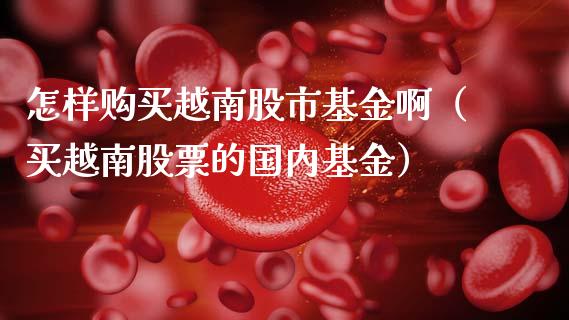 怎样购买越南股市基金啊（买越南股票的国内基金）_https://www.ltsssb.com_基金频道_第1张
