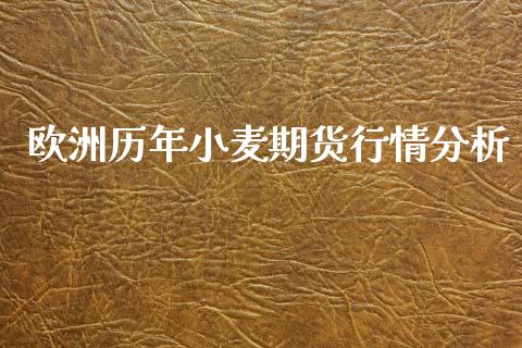 欧洲历年小麦期货行情分析_https://www.ltsssb.com_期货在线_第1张