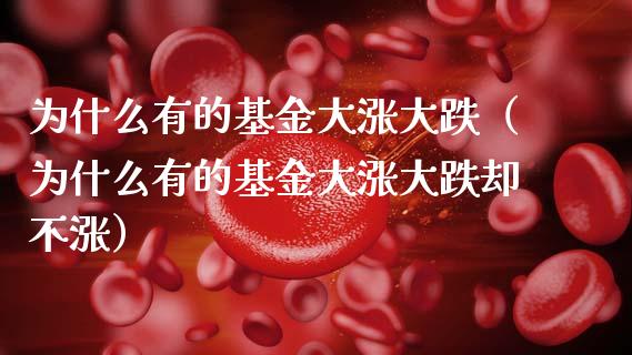 为什么有的基金大涨大跌（为什么有的基金大涨大跌却不涨）_https://www.ltsssb.com_基金频道_第1张