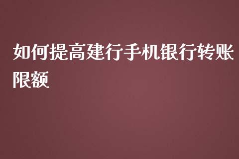 如何提高建行手机银行转账限额_https://www.ltsssb.com_新股数据_第1张