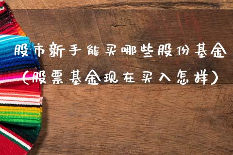 股市新手能买哪些股份基金（股票基金现在买入怎样）_https://www.ltsssb.com_国际财经_第1张