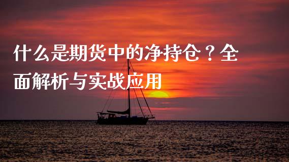 什么是期货中的净持仓？全面解析与实战应用_https://www.ltsssb.com_国际财经_第1张