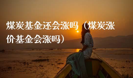 煤炭基金还会涨吗（煤炭涨价基金会涨吗）_https://www.ltsssb.com_国际财经_第1张